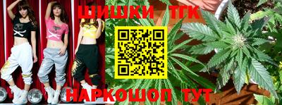 дживик Камышлов