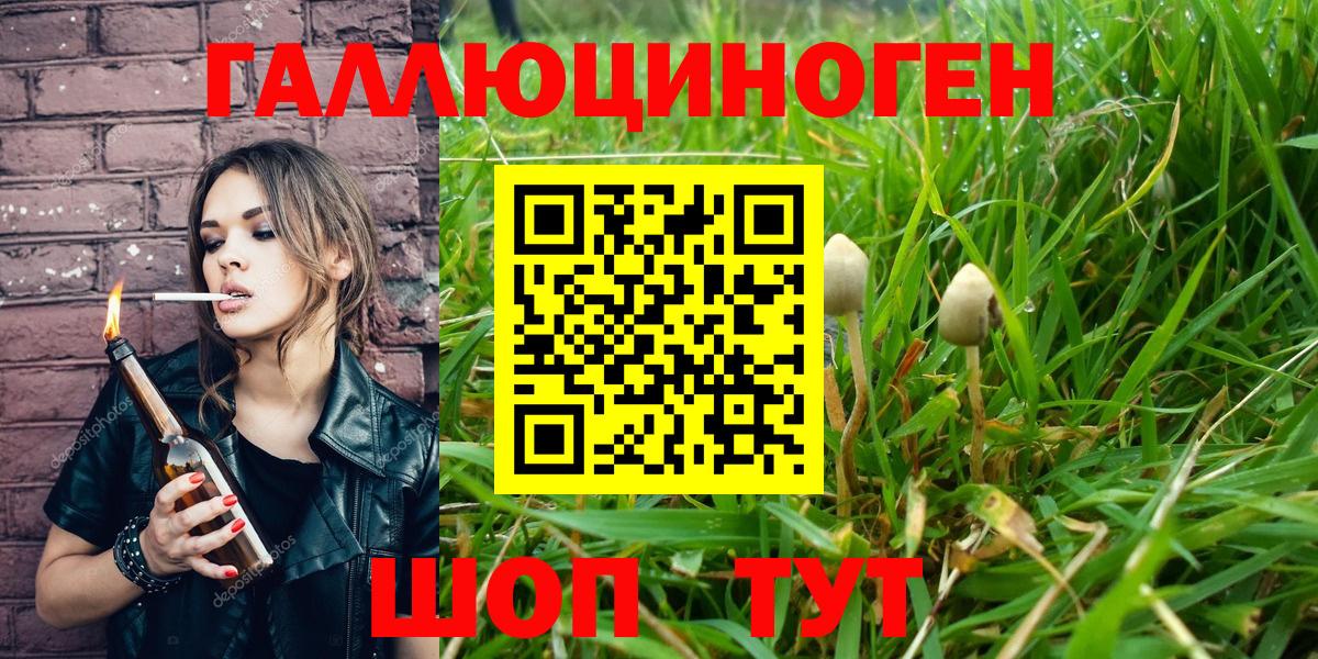 Псилоцибиновые грибы Psilocybine cubensis Волоколамск