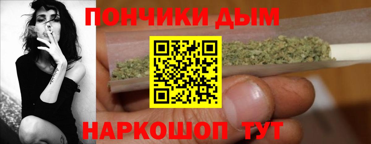 Конопля сатива Волоколамск